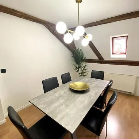 Le Schongauer En Hypercentre Appartement Colmar