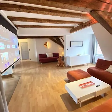 Le Schongauer En Hypercentre * كولمار